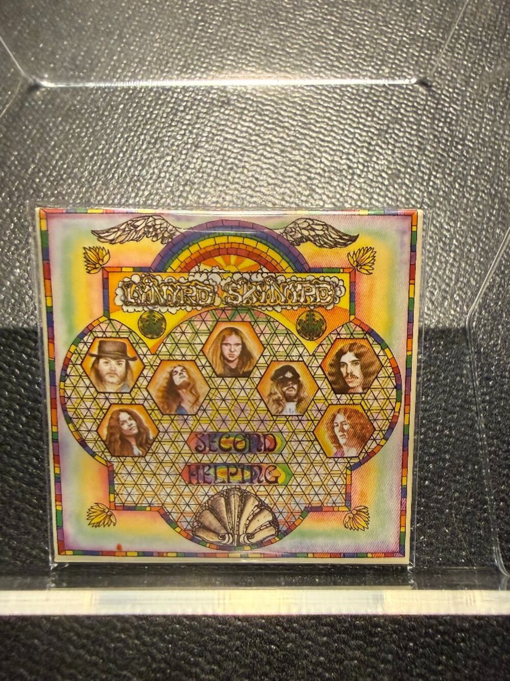 Mini Brands Vinyl Records-Lynyrd Skynyrd-Sweet Home Alabama-Uncommon
